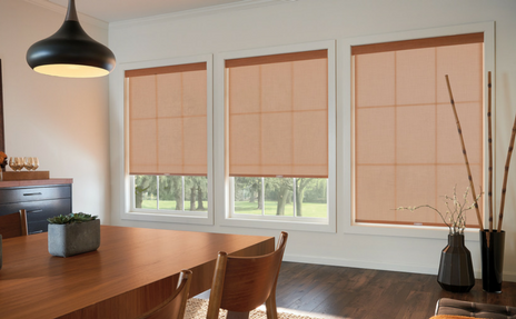 Window Blinds in Dining Room